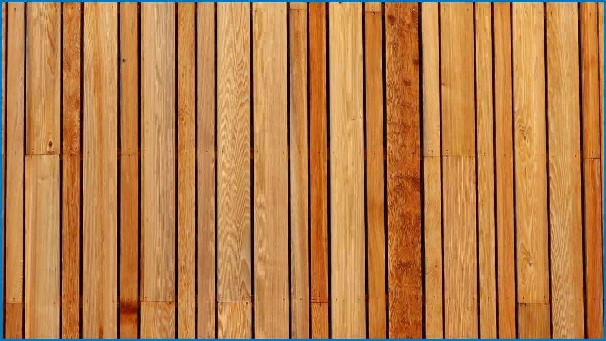 Western Red Cedar Cladding: A Warm and Lasting Choice for UK Homes