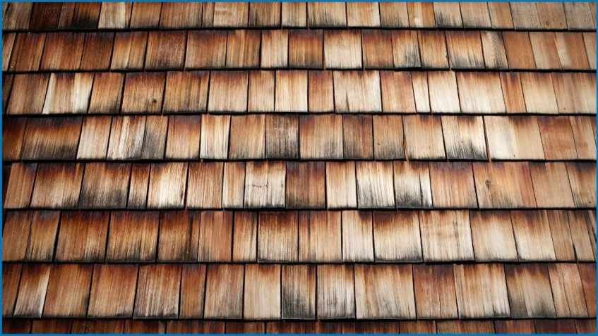 Larch offers excellent durability and a beautiful grain, often used for external cladding.
