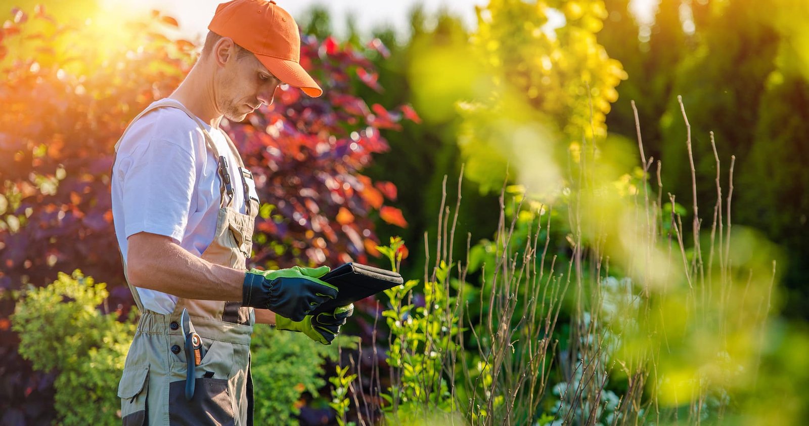 How to Calculate a Lawn Care Estimate (with Lawn Care Price Charts) 